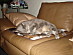 View full size picture