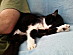 View full size picture