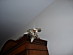 View full size picture
