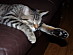 View full size picture