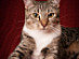 View full size picture