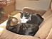 View full size picture