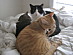 View full size picture