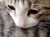 View full size picture
