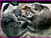 View full size picture