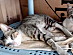 View full size picture