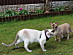 View full size picture
