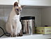 View full size picture