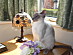 View full size picture