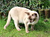 View full size picture