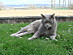 View full size picture
