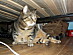 View full size picture
