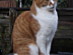 View full size picture