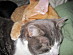 View full size picture