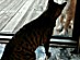 View full size picture