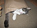 View full size picture