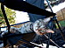 View full size picture