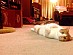 View full size picture