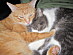 View full size picture