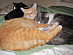 View full size picture