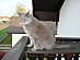 View full size picture
