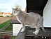 View full size picture