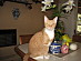 View full size picture