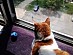 View full size picture