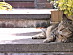 View full size picture