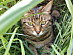 View full size picture