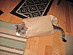 View full size picture