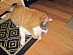 View full size picture