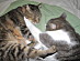 View full size picture