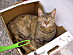 View full size picture