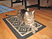 View full size picture