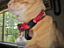 View full size picture