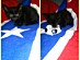 View full size picture
