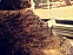 View full size picture