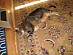 View full size picture
