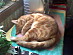 View full size picture