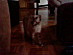 View full size picture