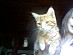 View full size picture