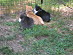 View full size picture