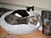 View full size picture