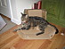 View full size picture