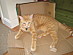 View full size picture