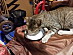 View full size picture
