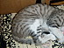 View full size picture