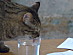 View full size picture