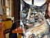 View full size picture